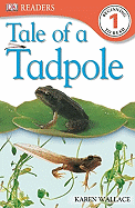 Tale of a Tadpole
