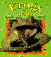 Frogs & Toads