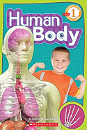 Human Body