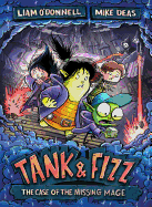 The Case of the Missing Mage