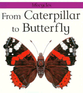 From Caterpillar to Butterfly
