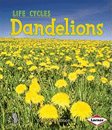 Dandelions