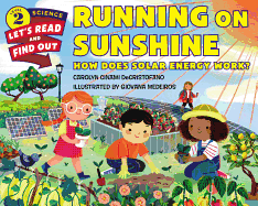 Running on Sunshine: How Does Solar Energy Work?