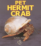 Pet Hermit Crab