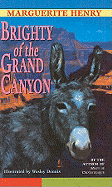 Brighty of the Grand Canyon
