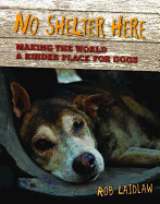 No Shelter Here: Making the World a Kinder Place for Dogs