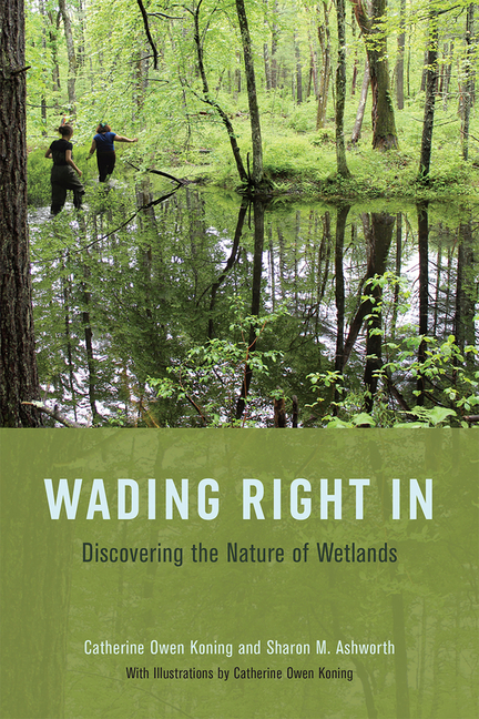 Wading Right in: Discovering the Nature of Wetlands