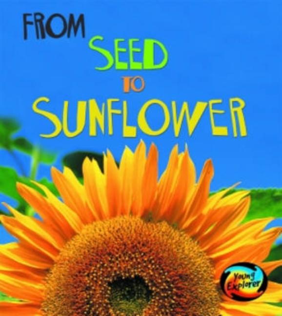 From Seed to Sunflower