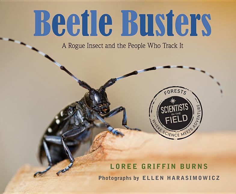 Beetle Busters: A Rogue Insect and the People Who Track It