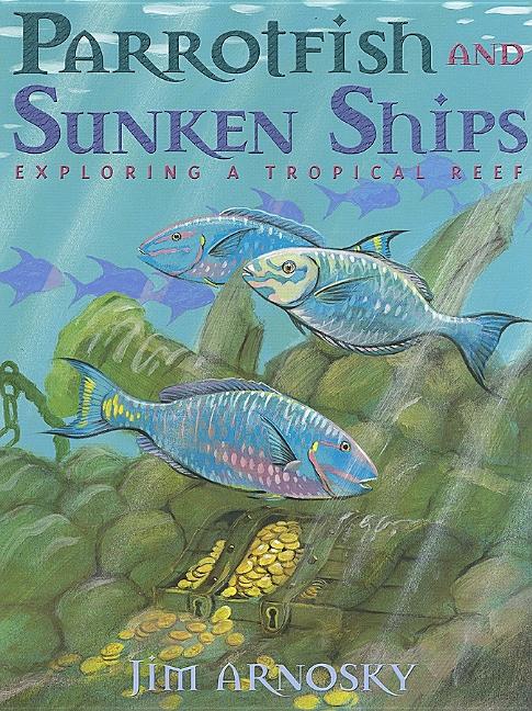 Parrotfish and Sunken Ships: Exploring a Tropical Reef