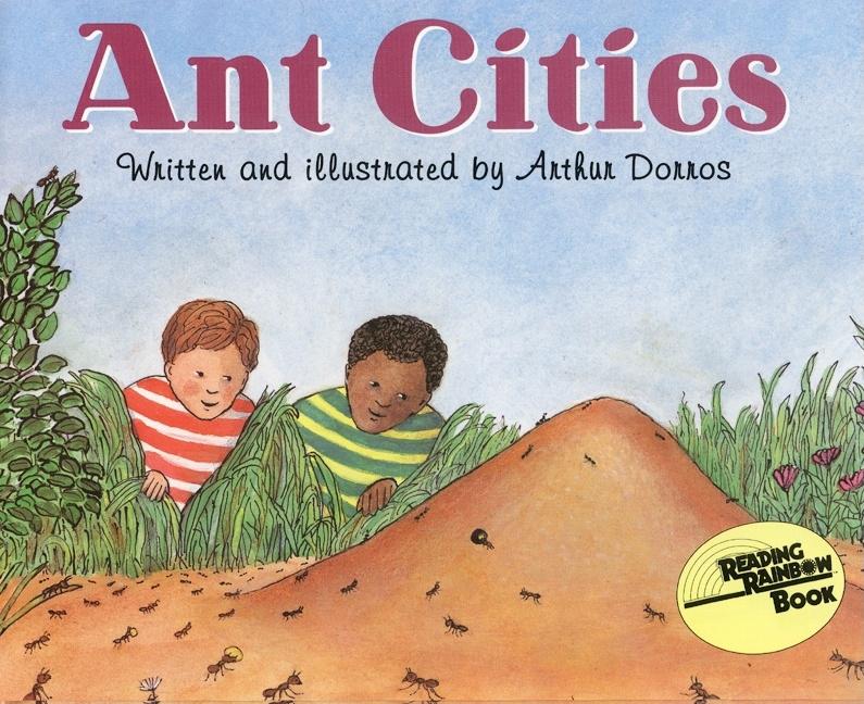 Ant Cities