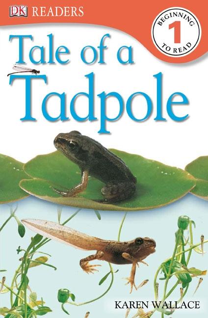 Tale of a Tadpole