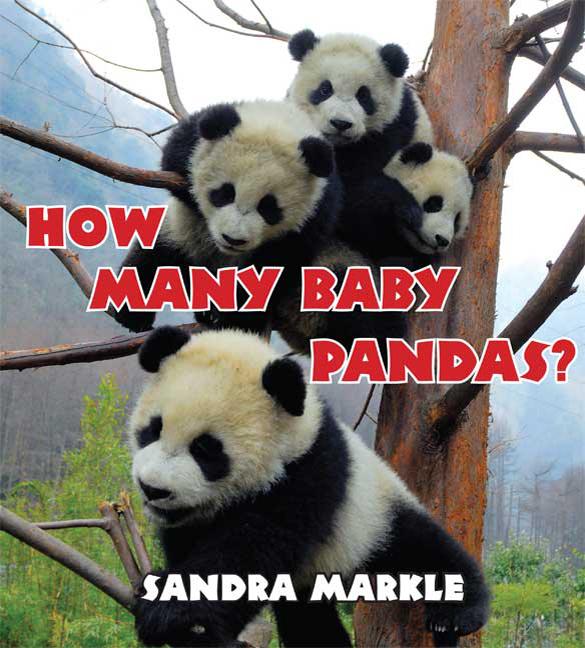 How Many Baby Pandas?