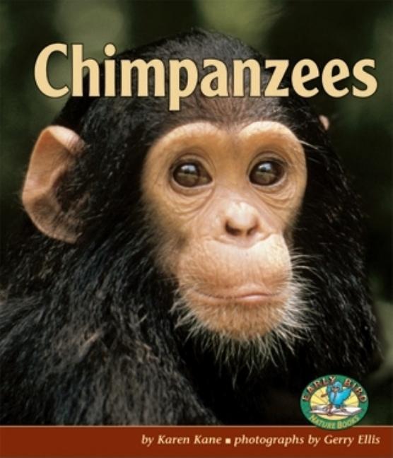 Chimpanzees