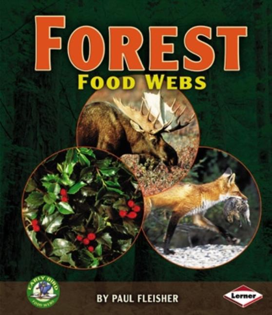 Forest Food Webs