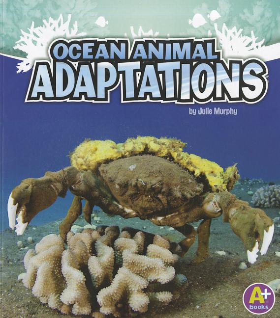 Ocean Animal Adaptations