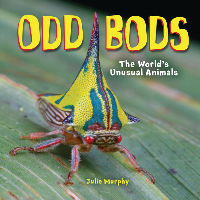 Odd Bods: The World's Unusual Animals