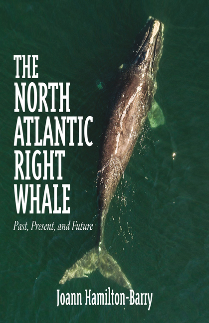 The North Atlantic Right Whale: Past, Present, and Future