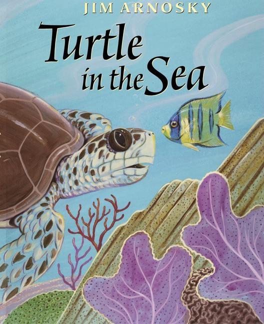 Turtle in the Sea