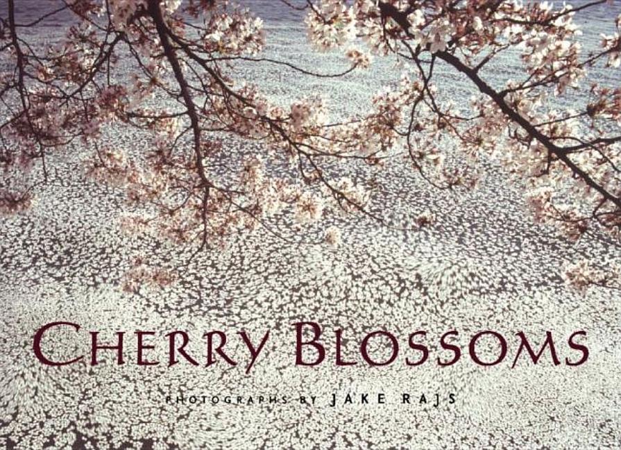 Cherry Blossoms