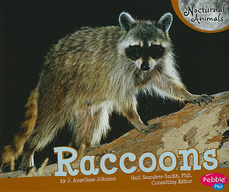 Raccoons