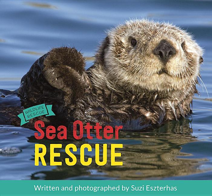 Sea Otter Rescue