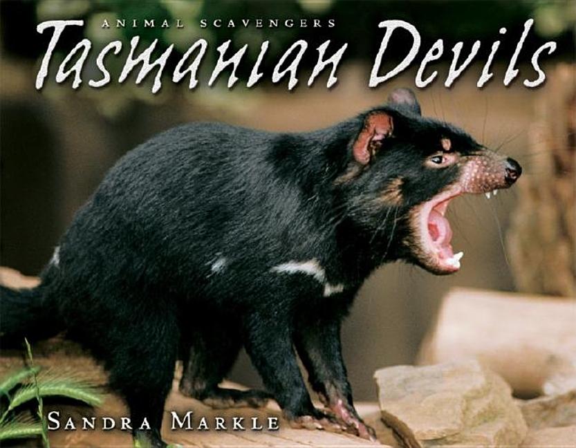 Tasmanian Devils