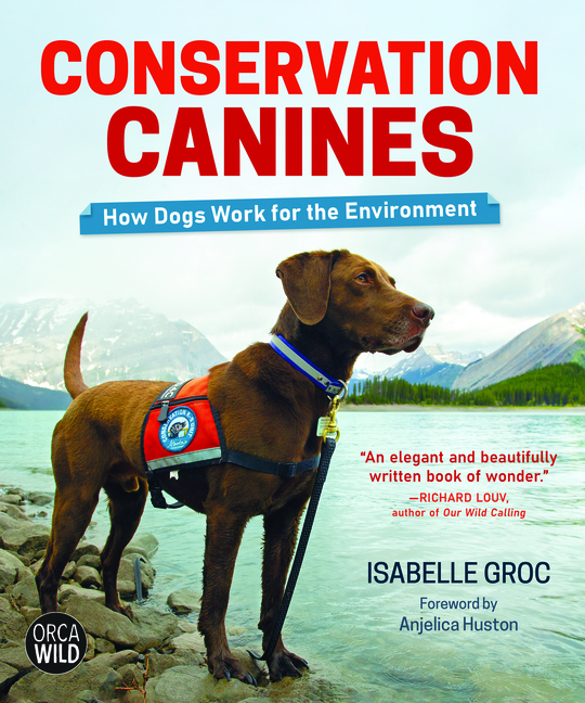 Conservation Canines: How Dogs Work for the Environment