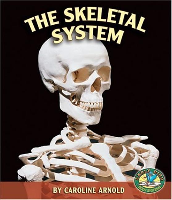 The Skeletal System