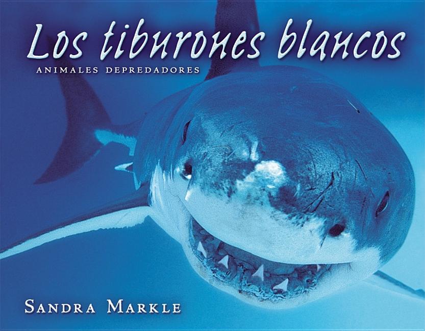 Great White Sharks / Los tiburones blancos