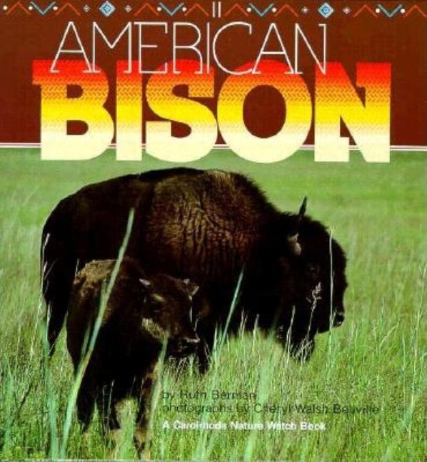 American Bison