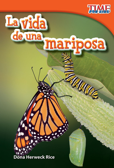 La vida de una mariposa