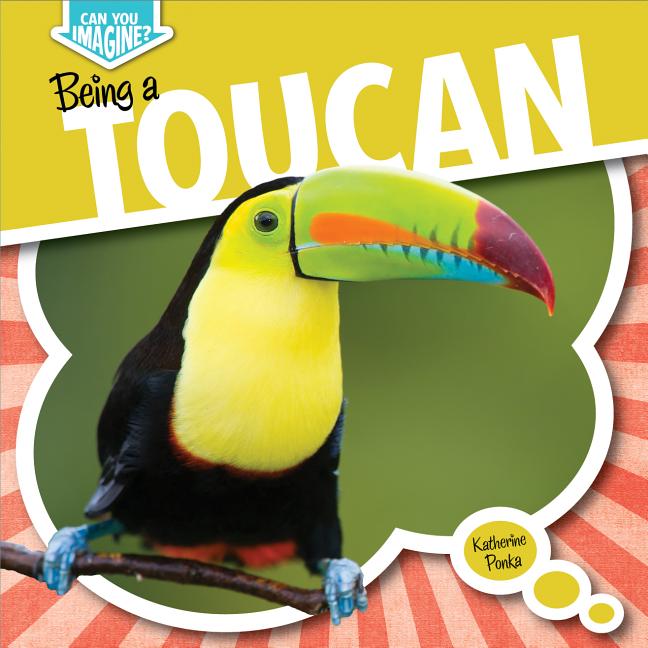 Being a Toucan