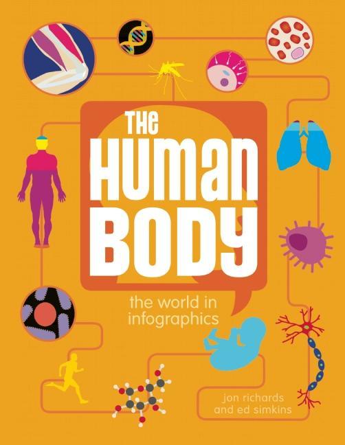 The Human Body