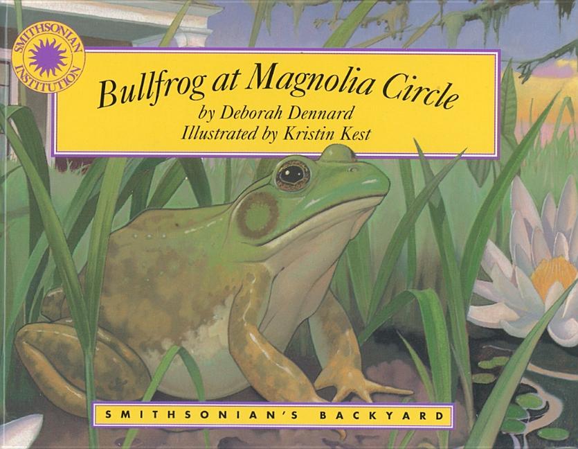 Bullfrog at Magnolia Circle