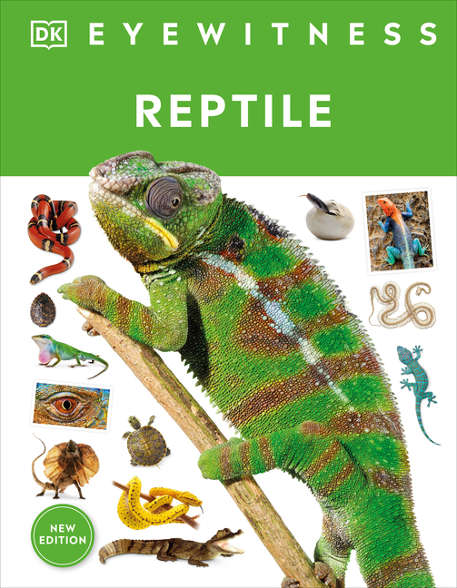 Reptile