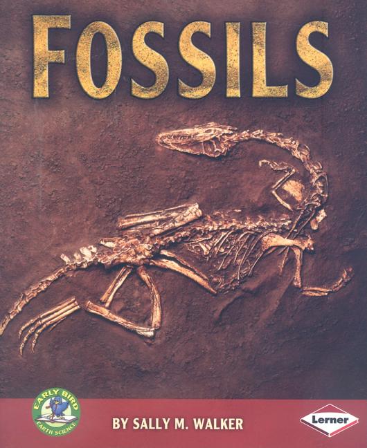 Fossils