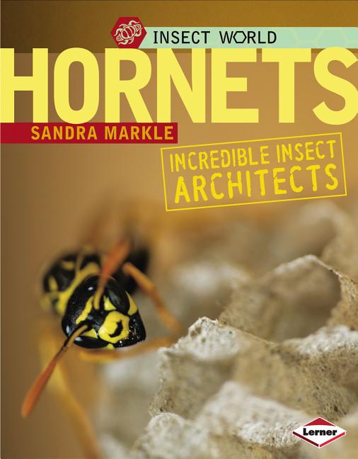 Hornets: Incredible Insect Architects