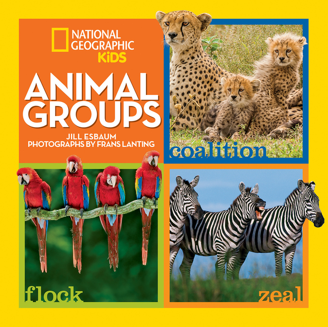 Animal Groups