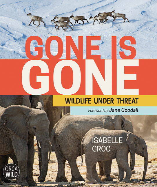 Gone Is Gone: Wildlife Under Threat