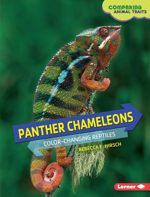 Panther Chameleons: Color-Changing Reptiles