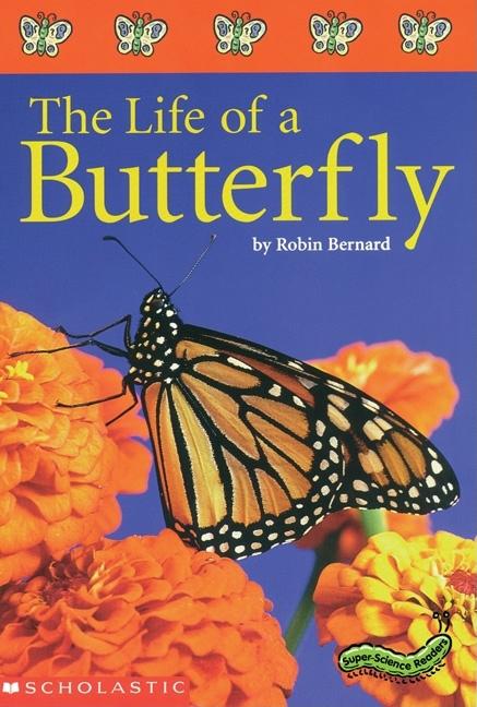 The Life of a Butterfly