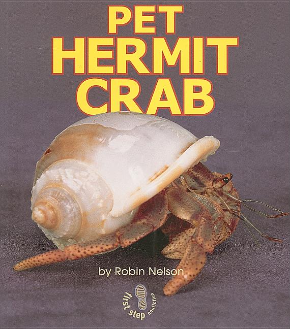 Pet Hermit Crab