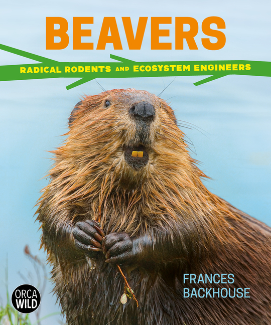 Beavers: Radical Rodents and Ecosystem Engineers