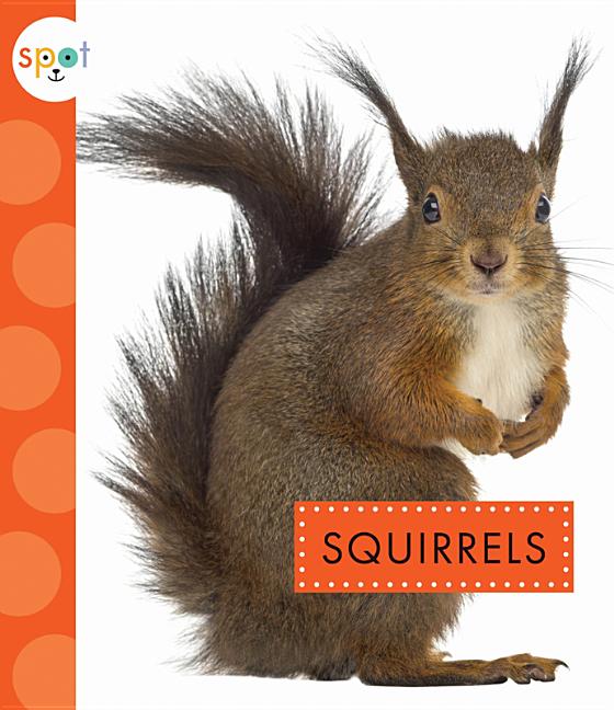 Squirrels