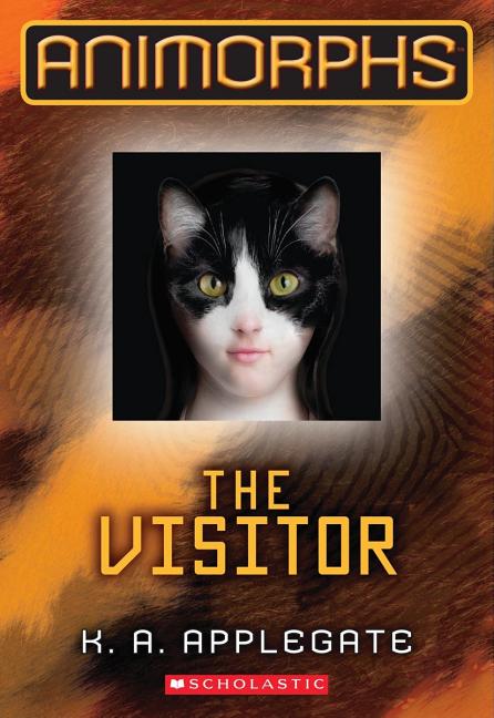 The Visitor