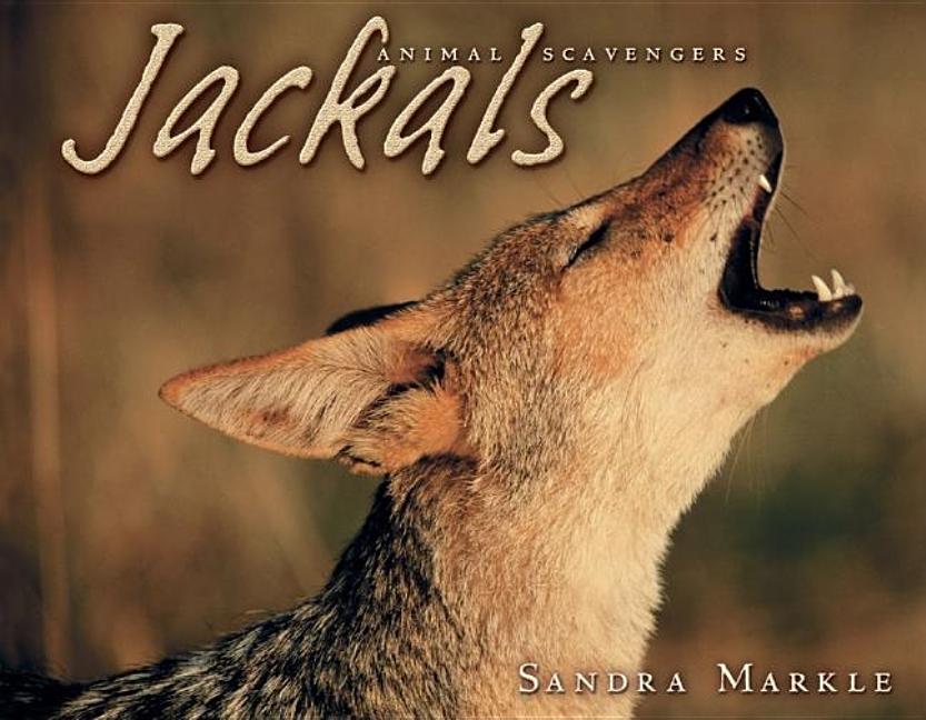 Jackals