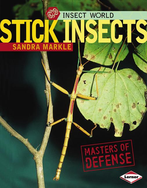 Stick Insects: Masters of Defense