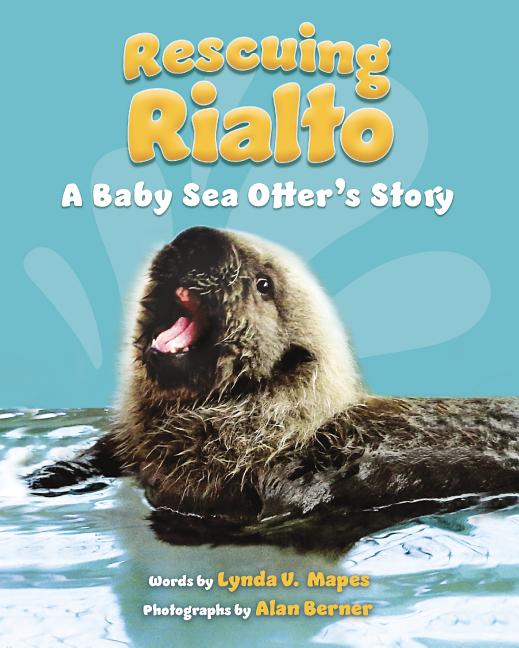 Rescuing Rialto: A Baby Sea Otter's Story