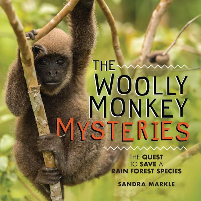 The Woolly Monkey Mysteries: The Quest to Save a Rain Forest Species